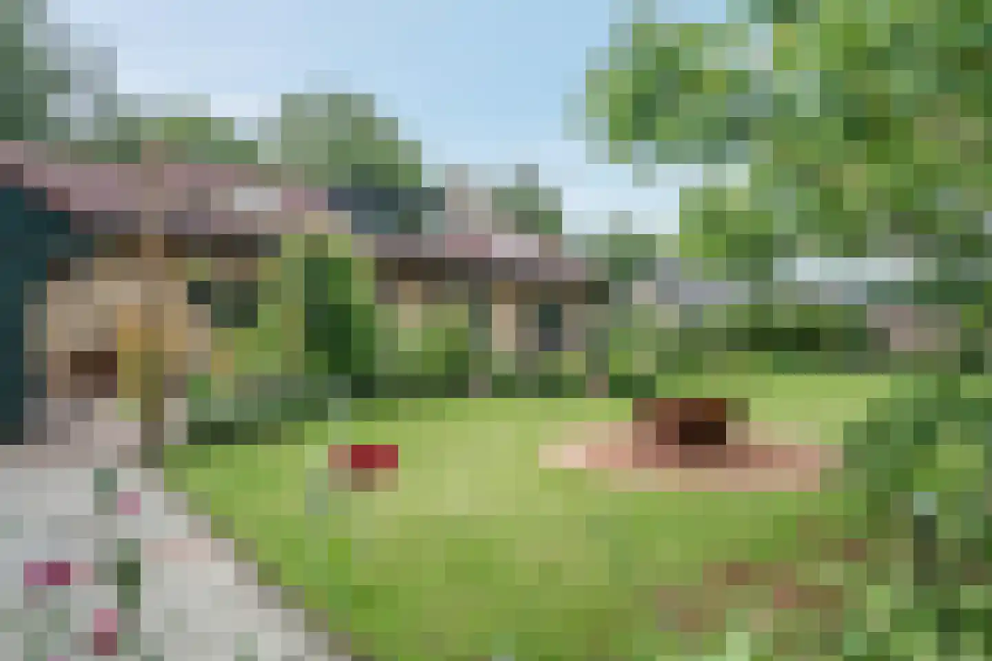 Westeresweg 41 Exloo thumbnail 51