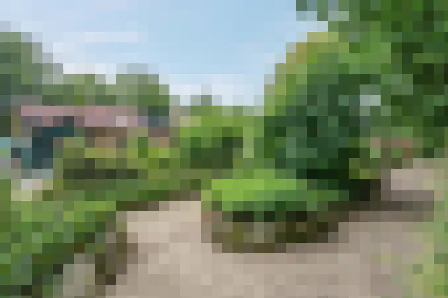 Westeresweg 41 Exloo thumbnail 52