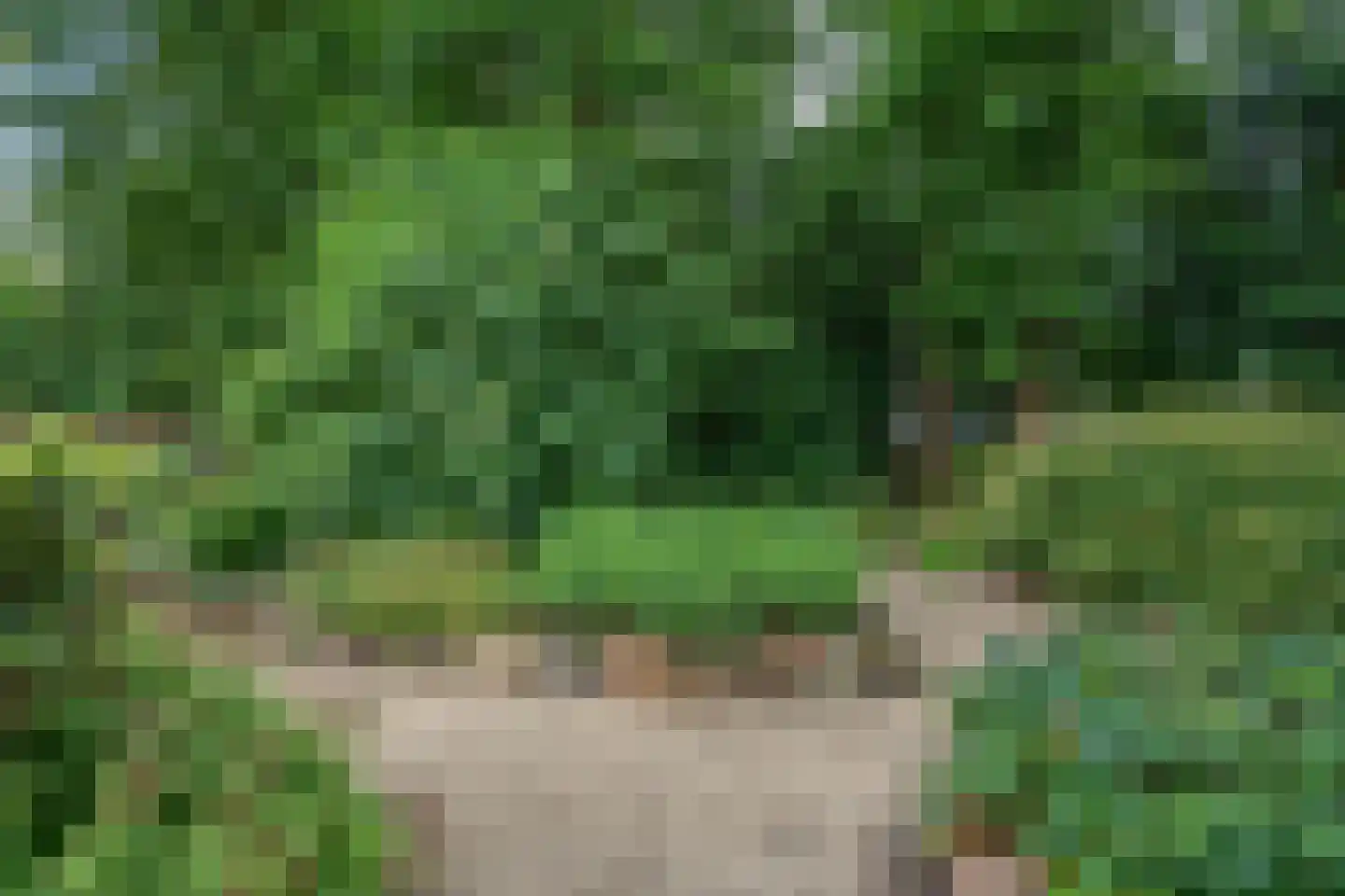 Westeresweg 41 Exloo thumbnail 53