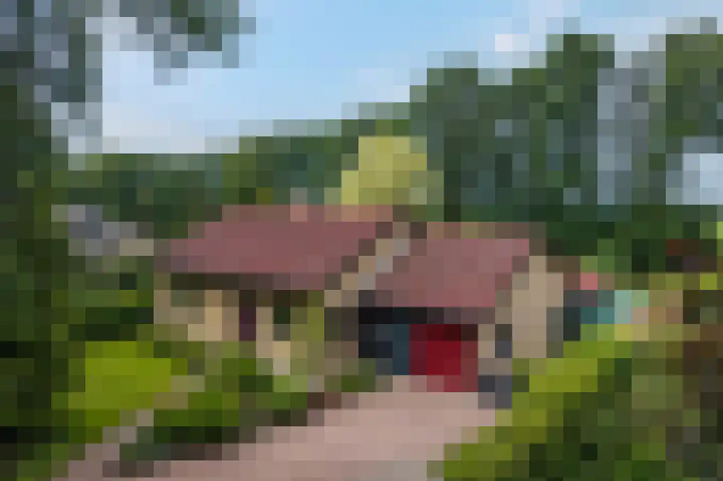 Westeresweg 41 Exloo thumbnail 58