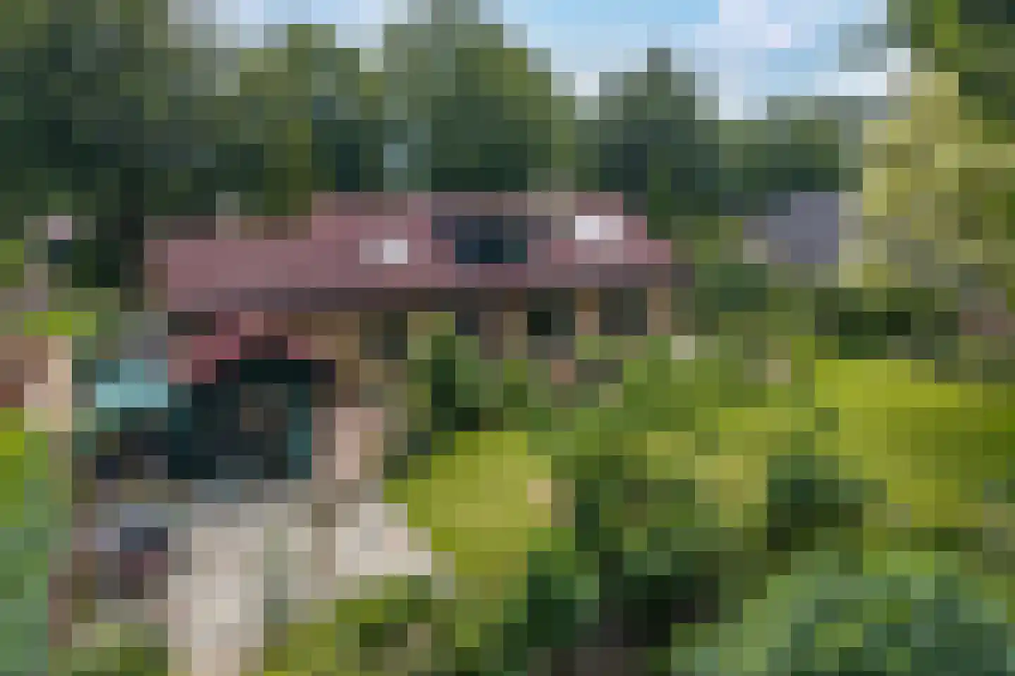 Westeresweg 41 Exloo thumbnail 59