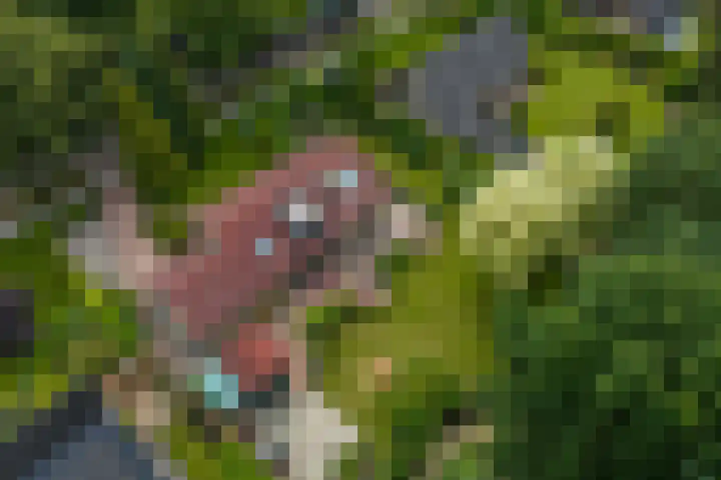 Westeresweg 41 Exloo thumbnail 60