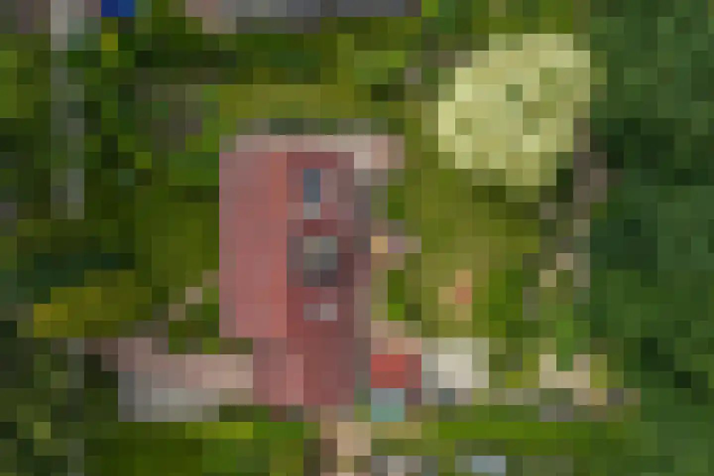 Westeresweg 41 Exloo thumbnail 61