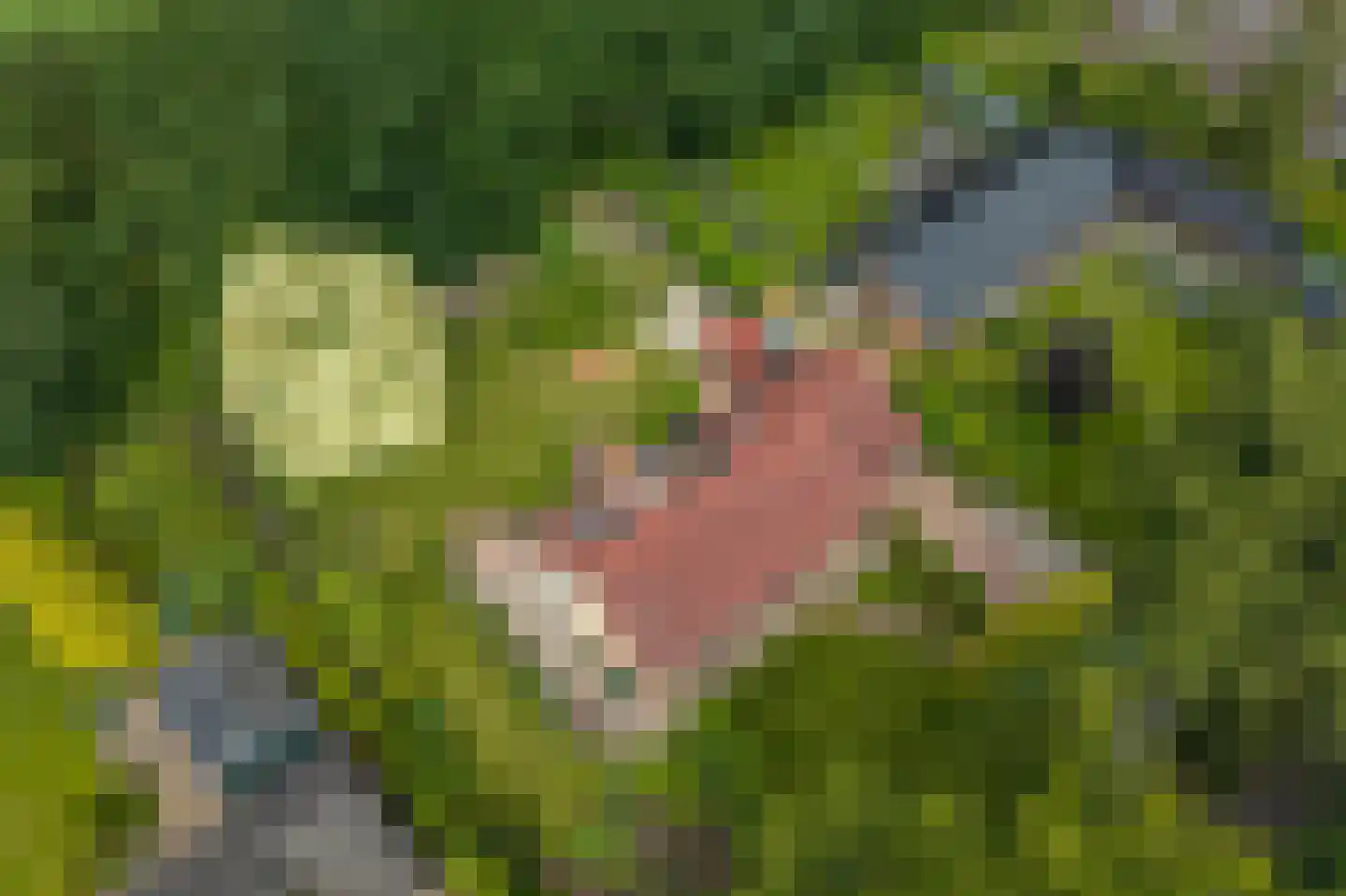 Westeresweg 41 Exloo thumbnail 62