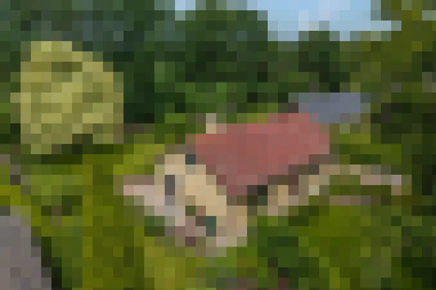 Westeresweg 41 Exloo thumbnail 63