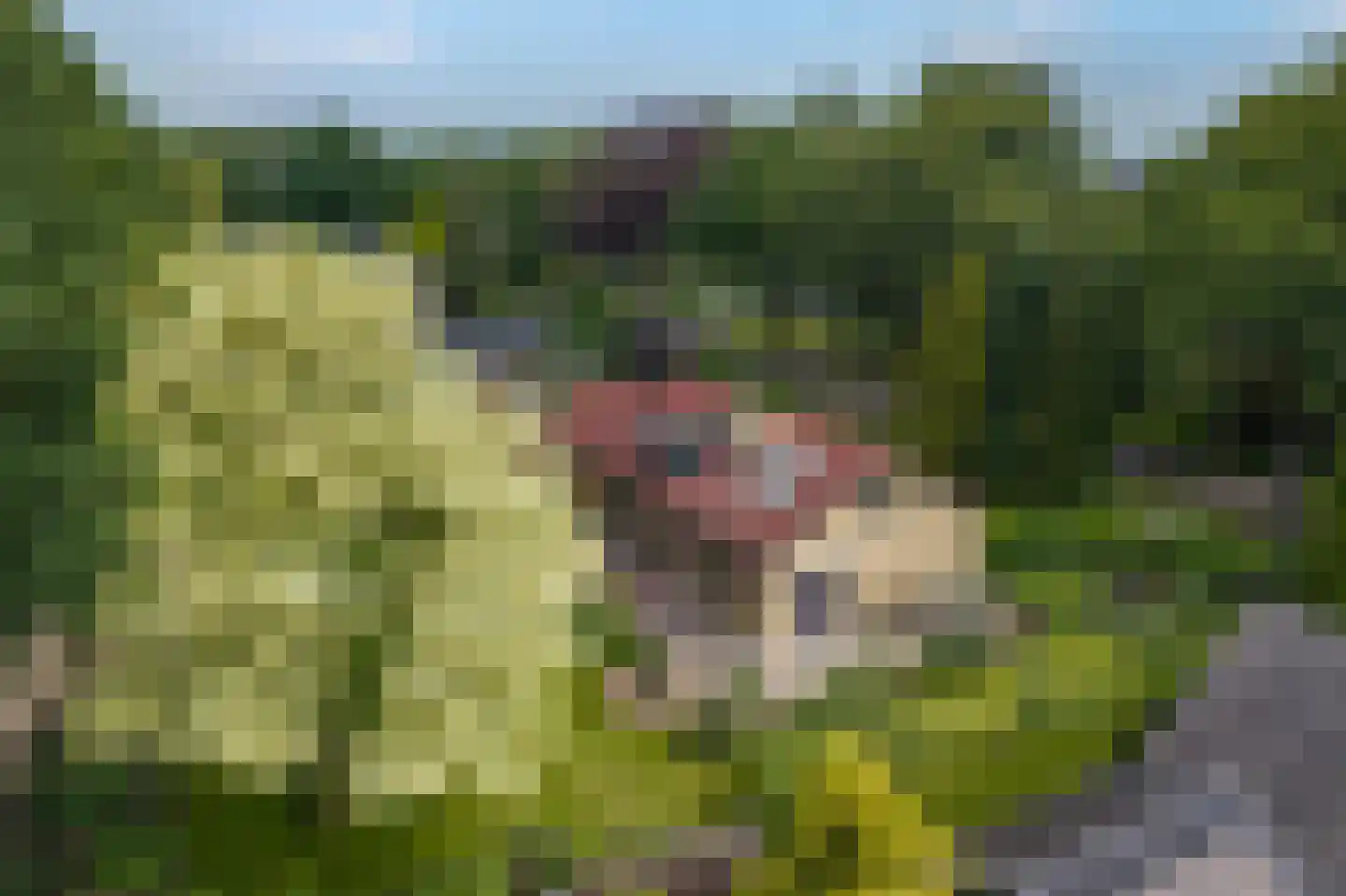Westeresweg 41 Exloo thumbnail 66