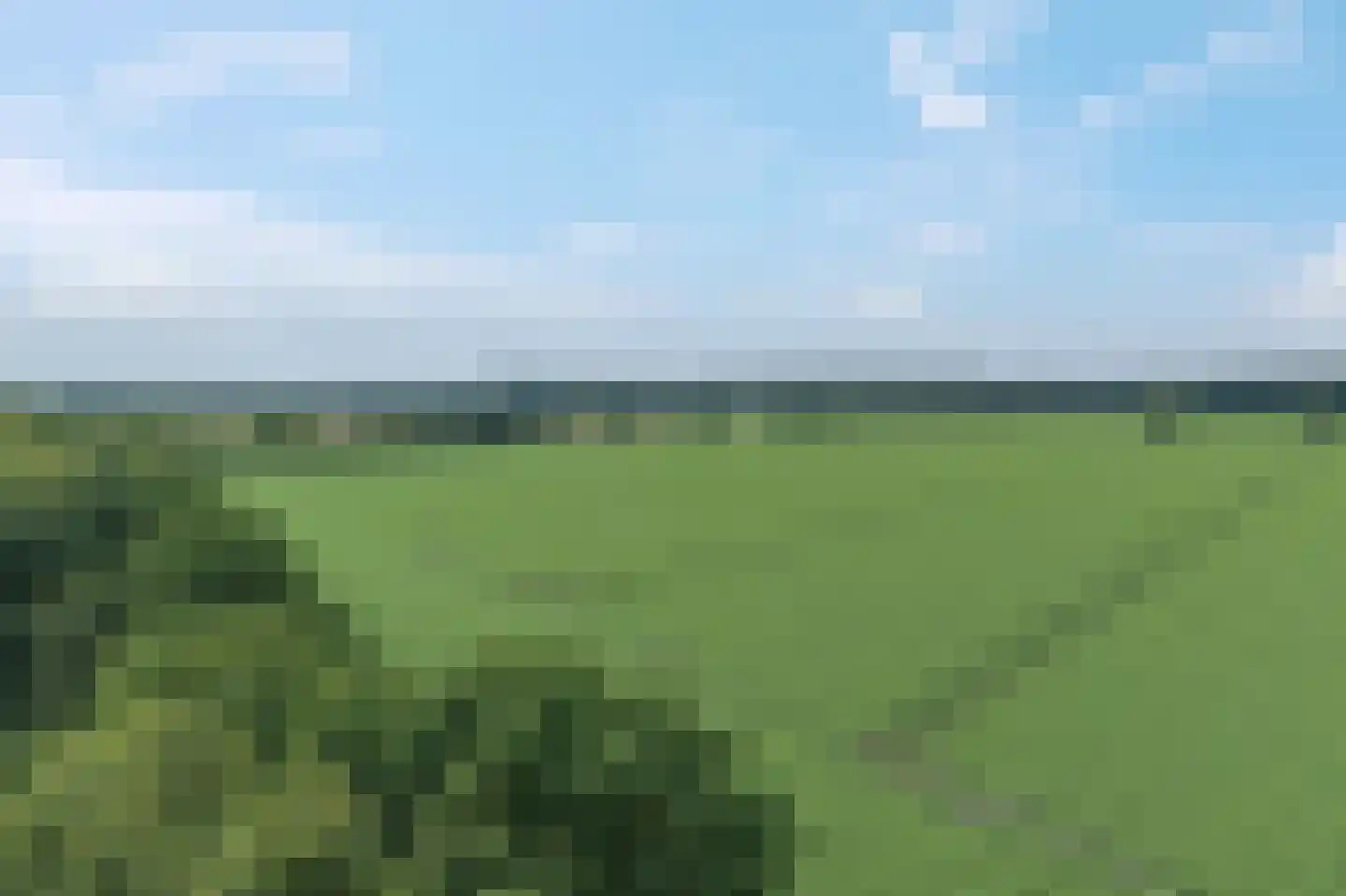 Westeresweg 41 Exloo thumbnail 67