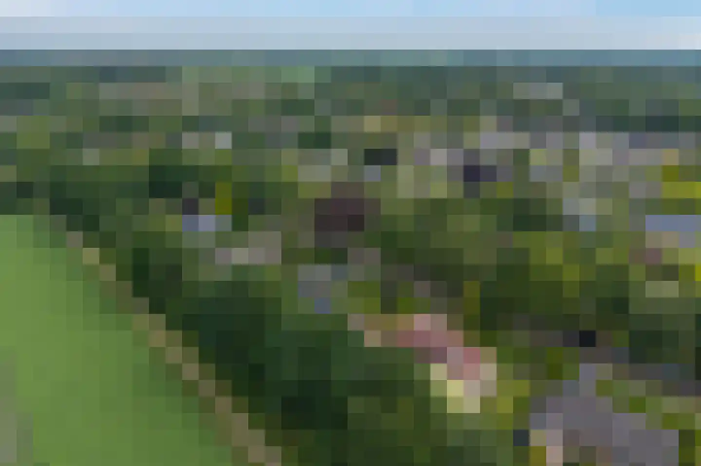 Westeresweg 41 Exloo thumbnail 68
