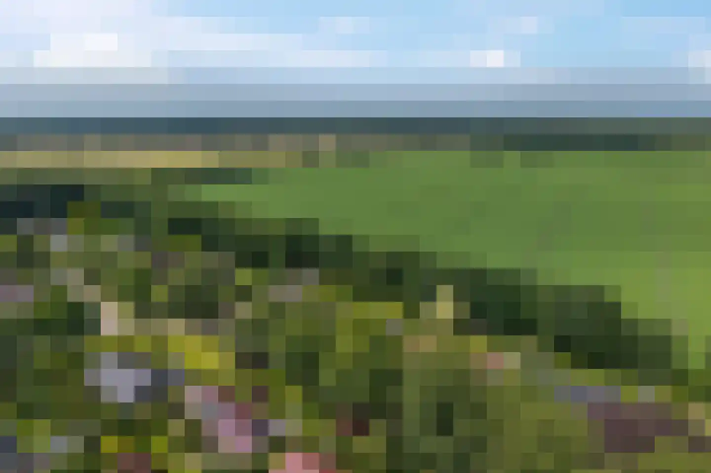Westeresweg 41 Exloo thumbnail 69