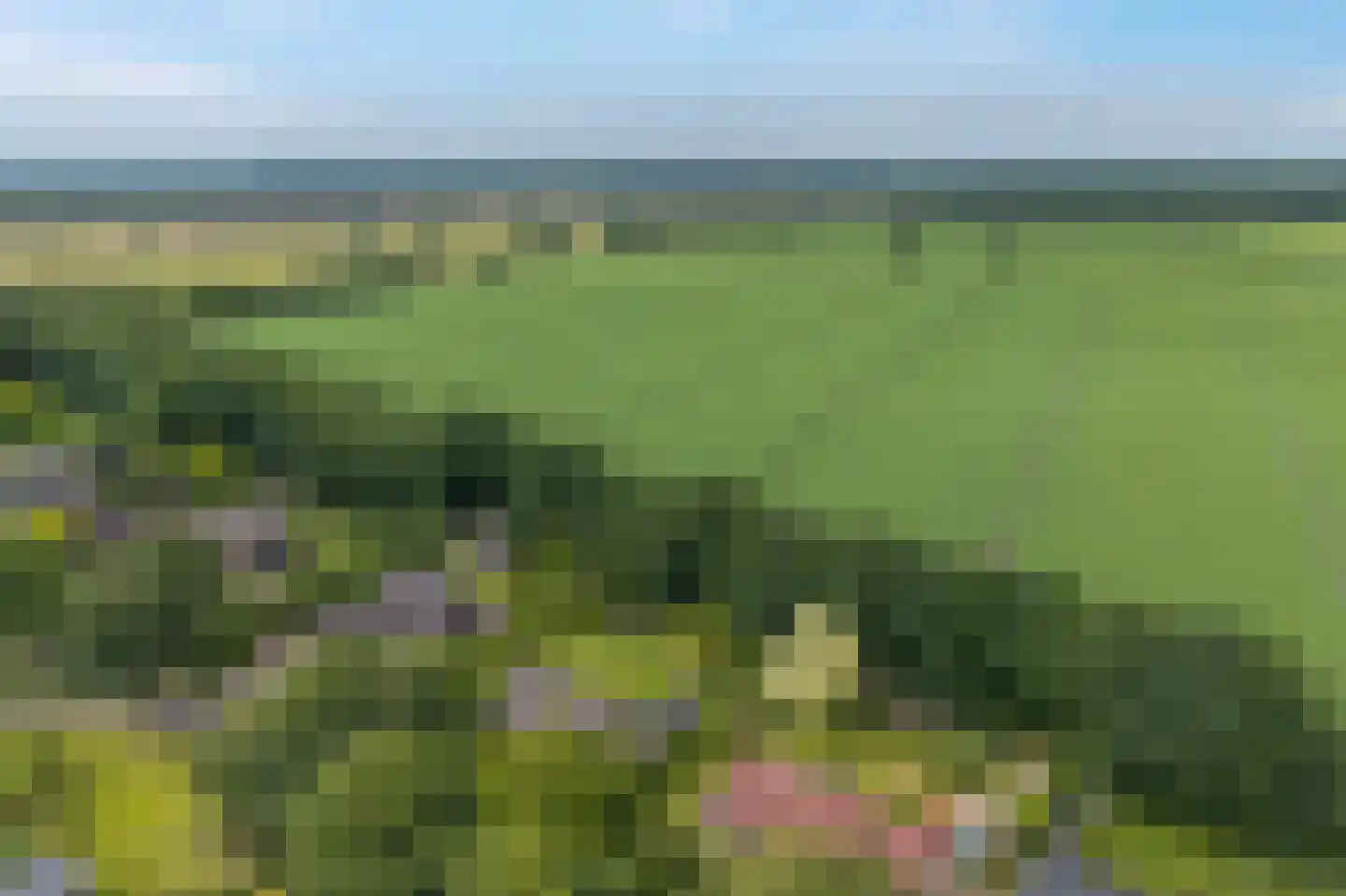 Westeresweg 41 Exloo thumbnail 70
