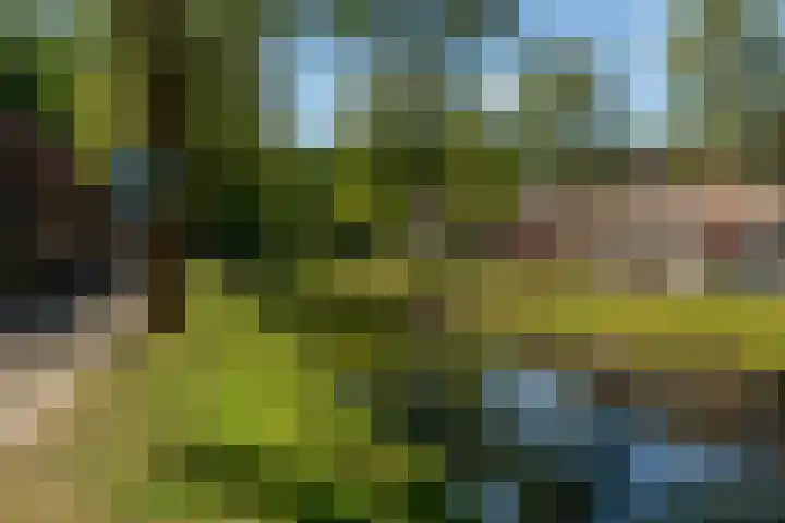 Westerflierstraat 9 Rotterdam thumbnail 46