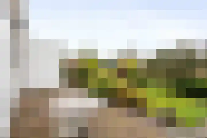 Westergast 27 Zuidhorn thumbnail 23
