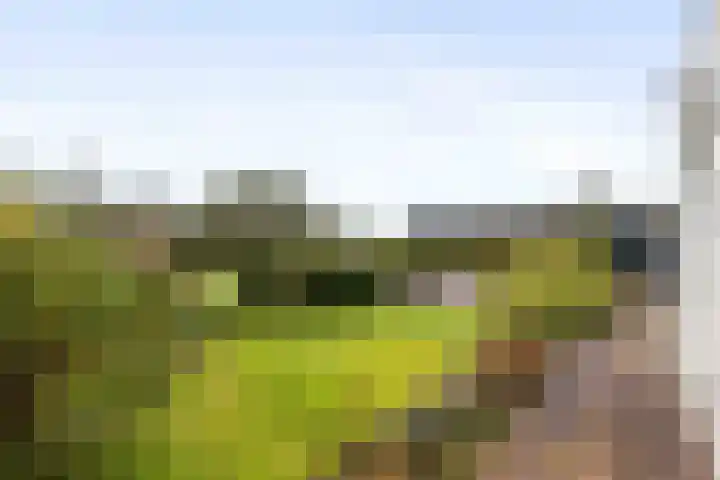 Westergast 27 Zuidhorn thumbnail 24