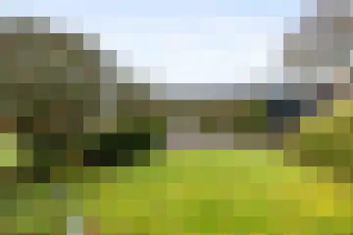 Westergast 27 Zuidhorn thumbnail 25