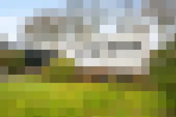 Westergast 27 Zuidhorn thumbnail 26