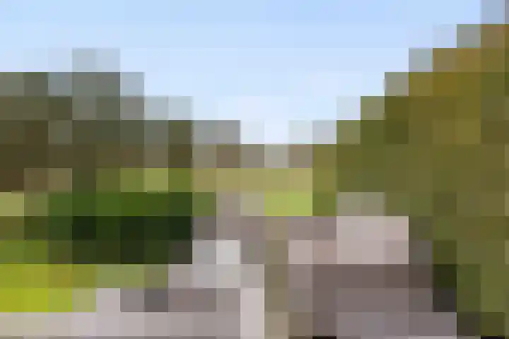 Westergast 27 Zuidhorn thumbnail 28
