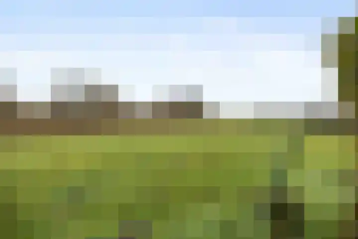 Westergast 27 Zuidhorn thumbnail 29