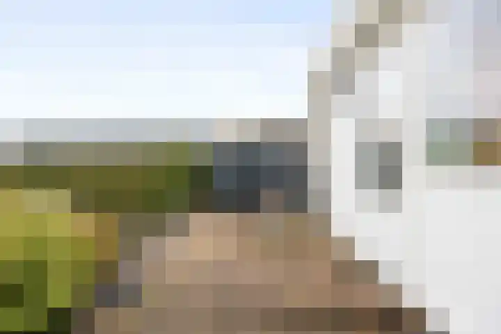 Westergast 27 Zuidhorn thumbnail 30
