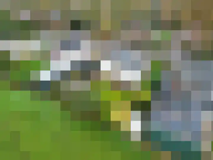 Westergast 27 Zuidhorn thumbnail 32