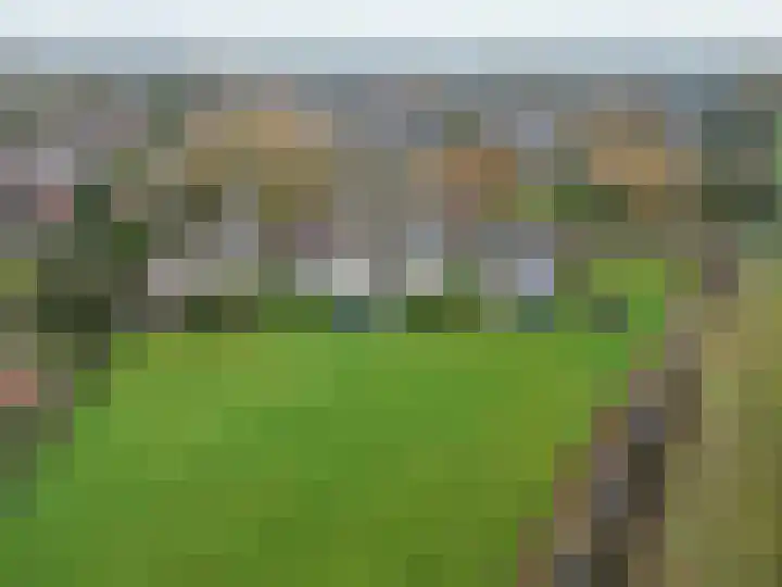 Westergast 27 Zuidhorn thumbnail 33