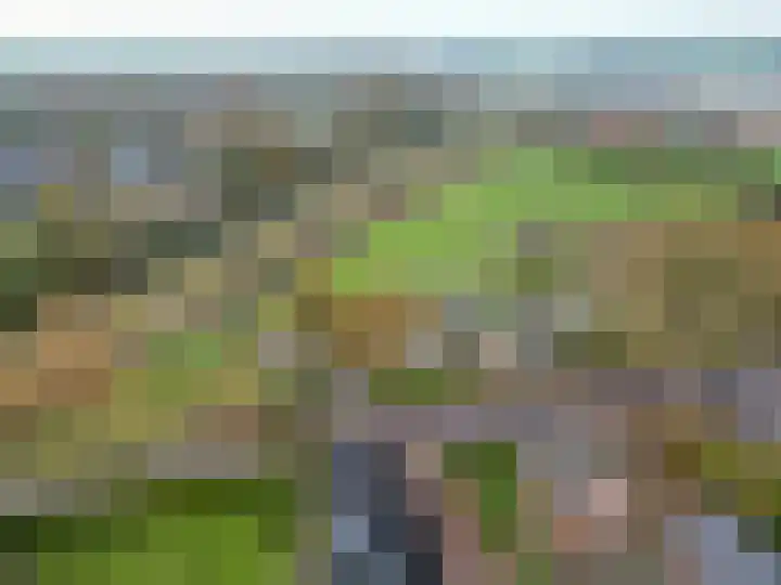 Westergast 27 Zuidhorn thumbnail 34