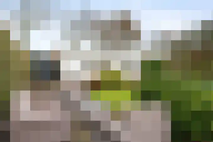 Westergast 27 Zuidhorn thumbnail 4