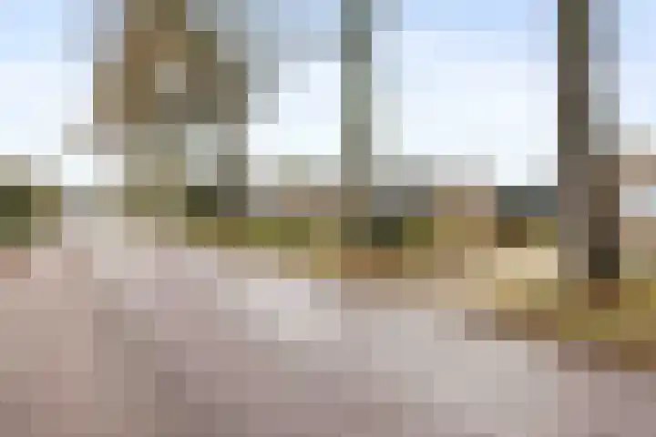 Westergast 27 Zuidhorn thumbnail 5
