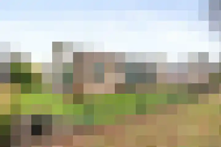 Westergast 27 Zuidhorn thumbnail 6