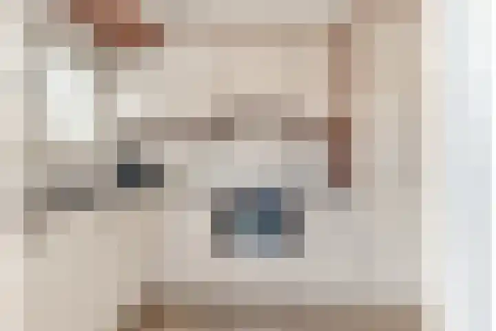 Westergeest 105 Uitgeest thumbnail 12