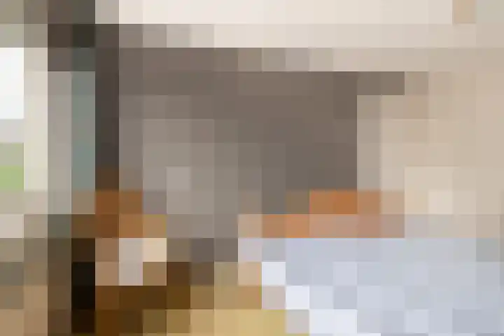 Westergeest 105 Uitgeest thumbnail 16