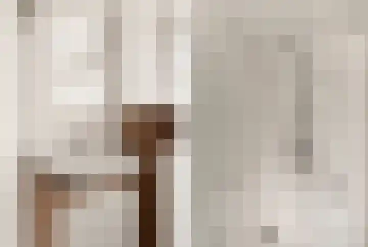 Westergeest 105 Uitgeest thumbnail 19