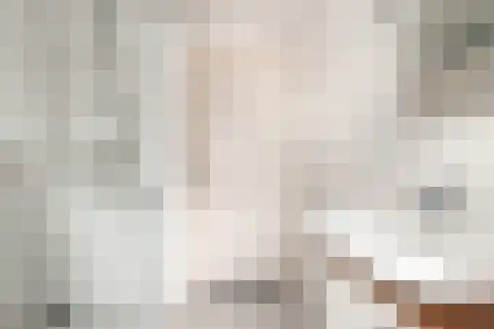 Westergeest 105 Uitgeest thumbnail 20