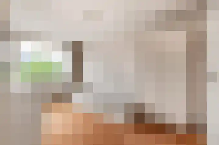 Westergeest 105 Uitgeest thumbnail 21