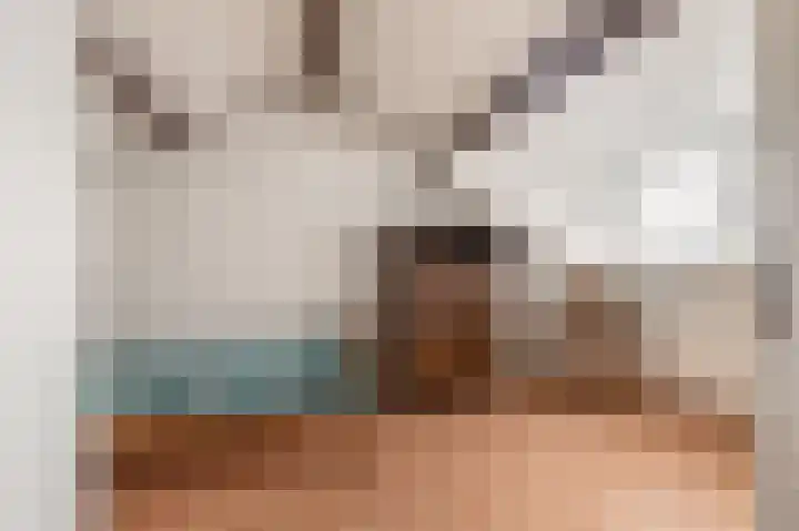Westergeest 105 Uitgeest thumbnail 26