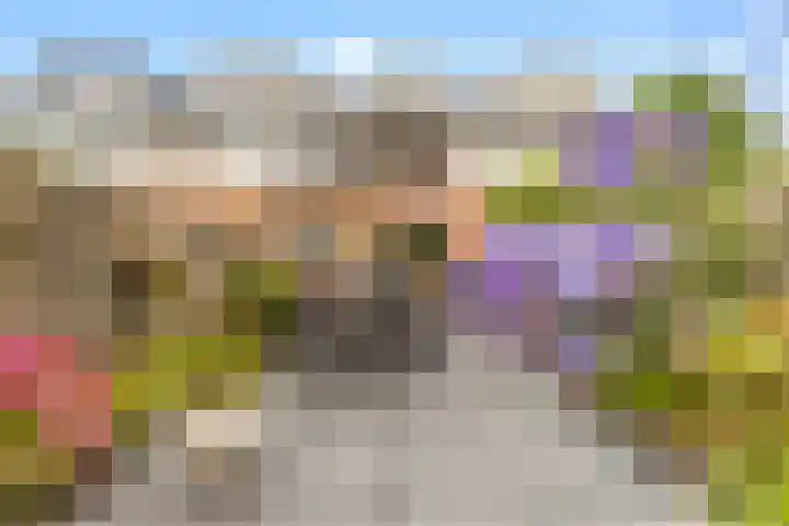 Westergeest 105 Uitgeest thumbnail 27