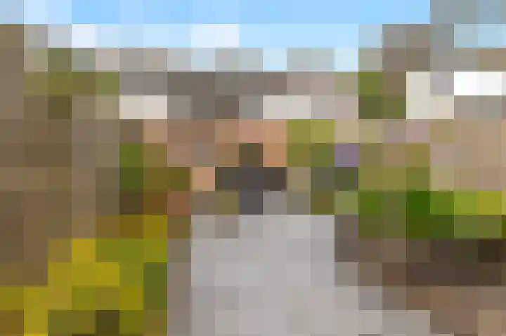 Westergeest 105 Uitgeest thumbnail 28