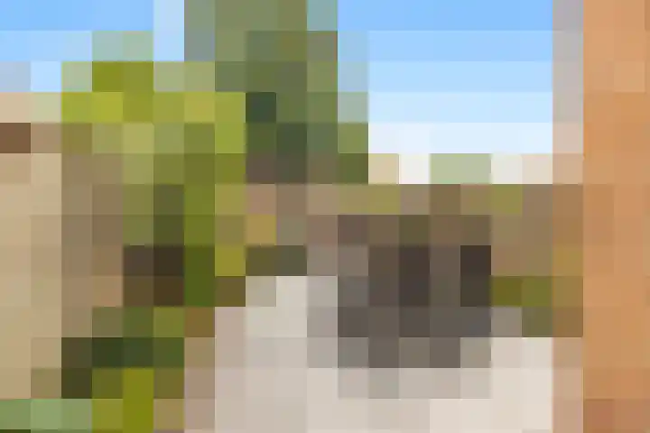 Westergeest 105 Uitgeest thumbnail 29
