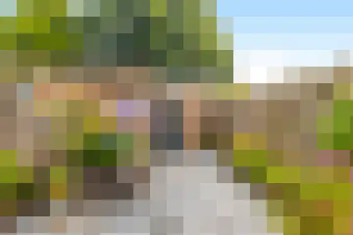Westergeest 105 Uitgeest thumbnail 30