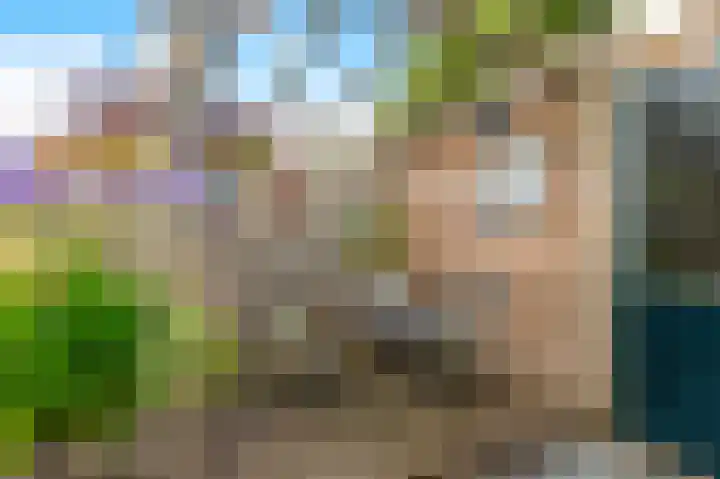 Westergeest 105 Uitgeest thumbnail 31