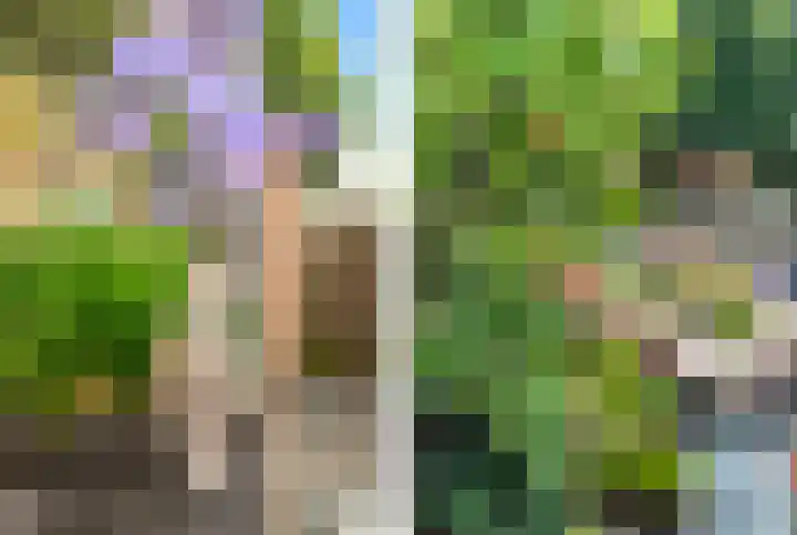 Westergeest 105 Uitgeest thumbnail 32