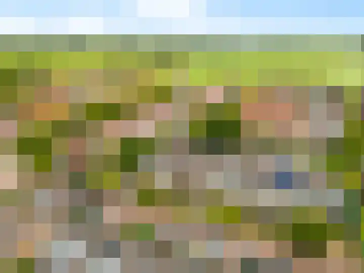 Westergeest 105 Uitgeest thumbnail 34