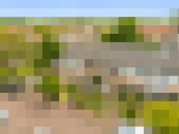 Westergeest 105 Uitgeest thumbnail 35