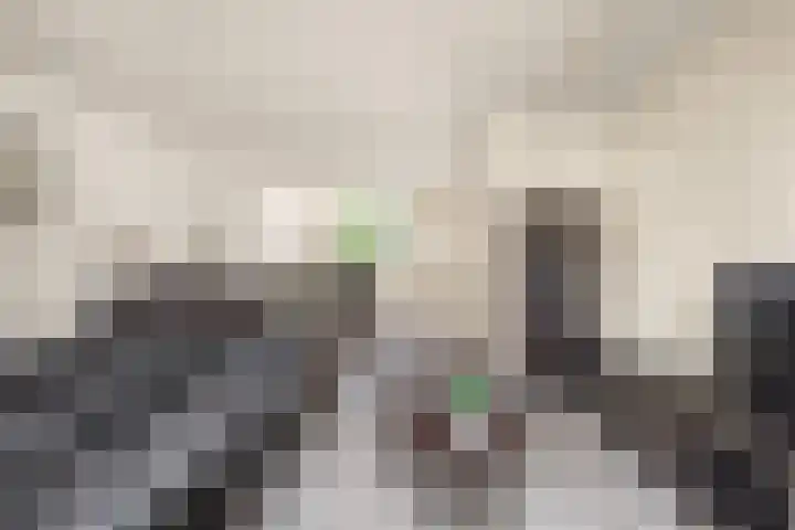 Westergeest 105 Uitgeest thumbnail 4