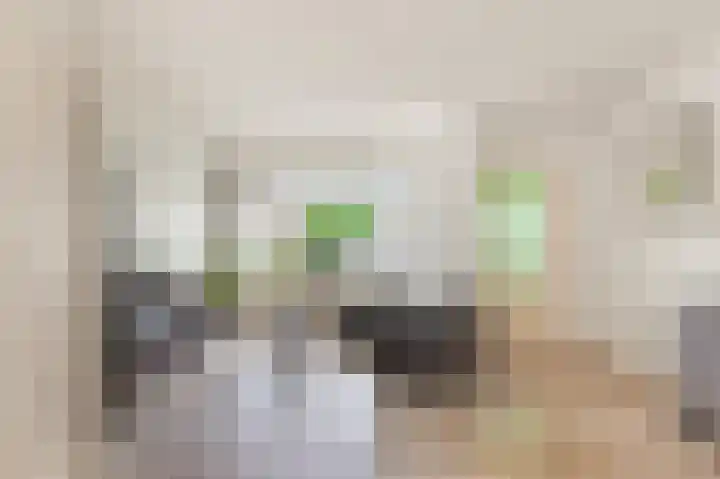 Westergeest 105 Uitgeest thumbnail 5
