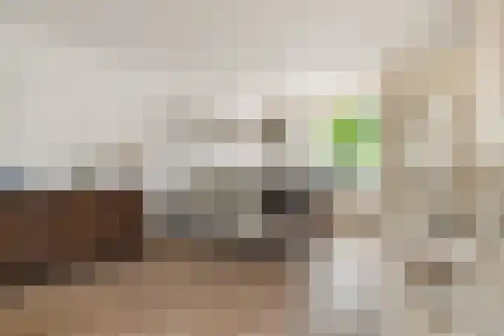 Westergeest 105 Uitgeest thumbnail 7