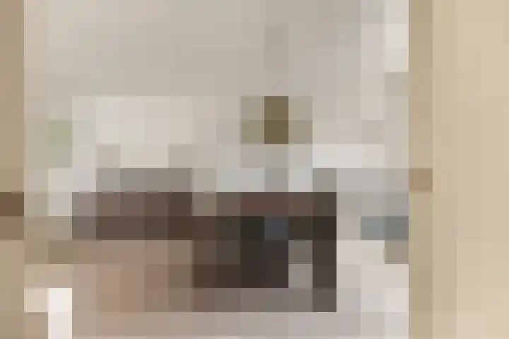 Westergeest 105 Uitgeest thumbnail 9