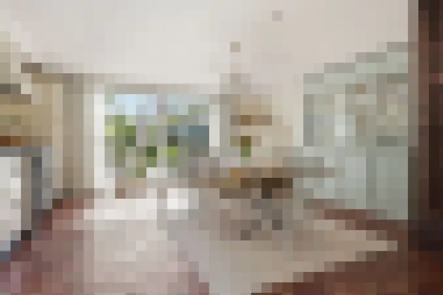 Westergeest 53 Uitgeest thumbnail 10