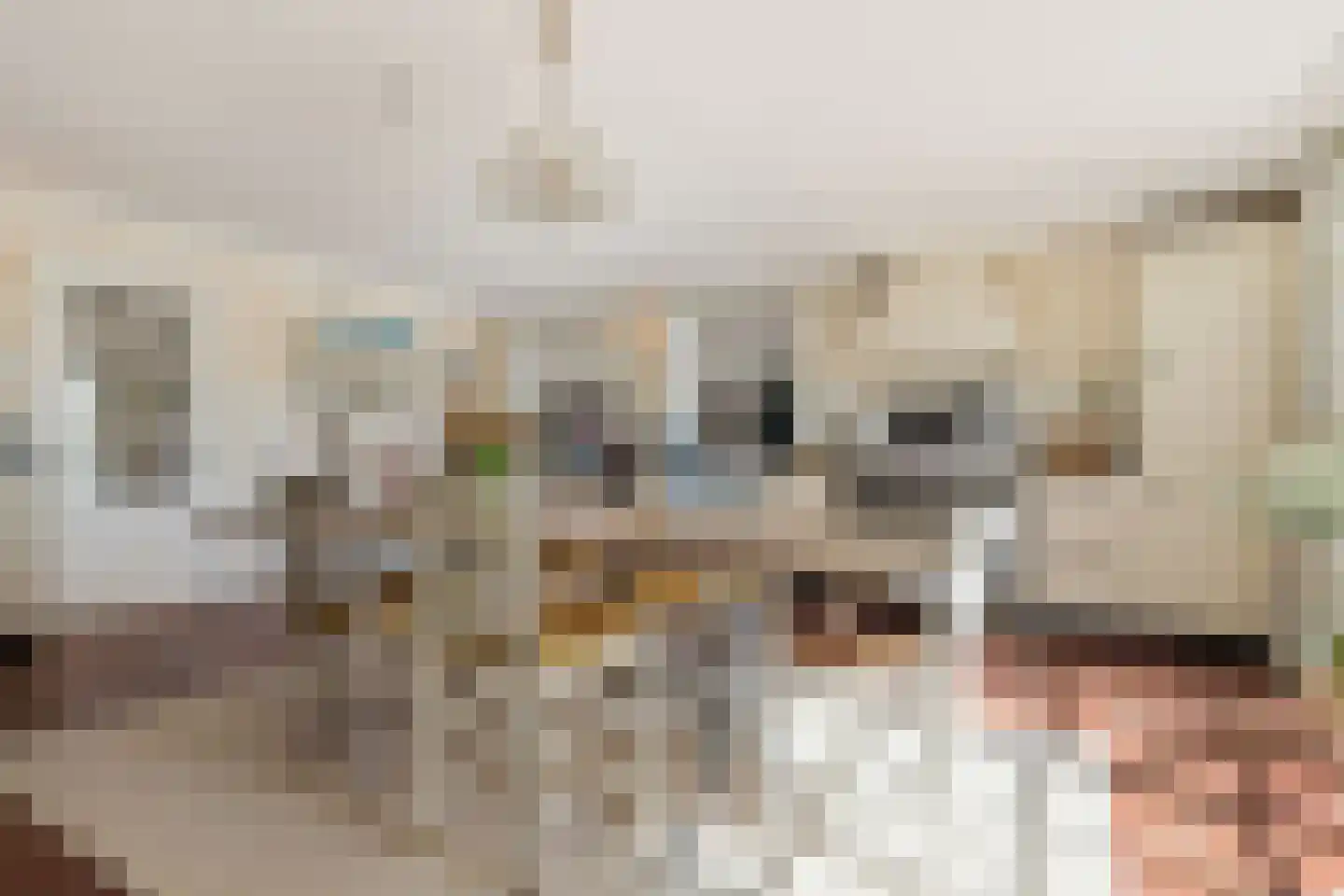 Westergeest 53 Uitgeest thumbnail 11