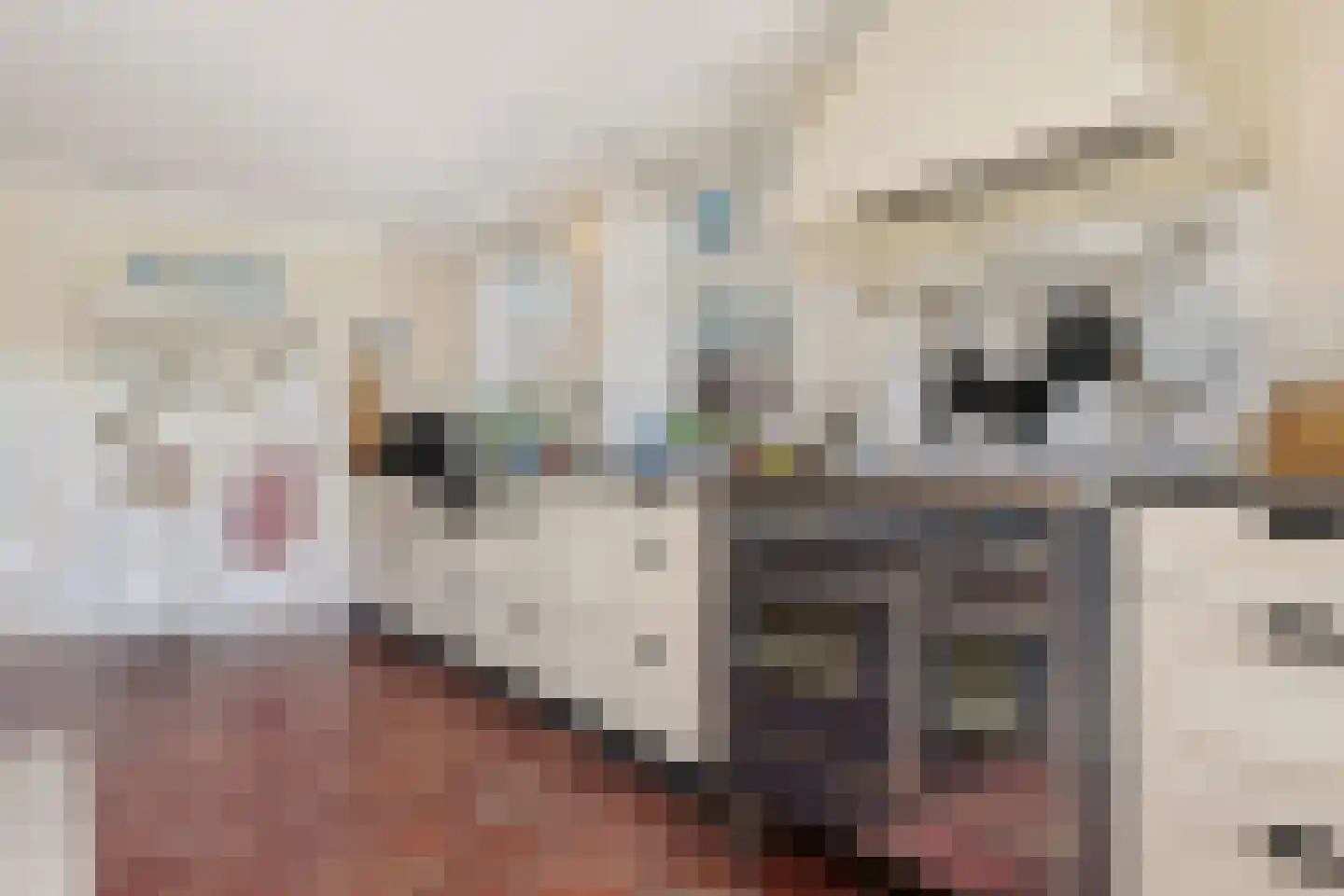 Westergeest 53 Uitgeest thumbnail 12