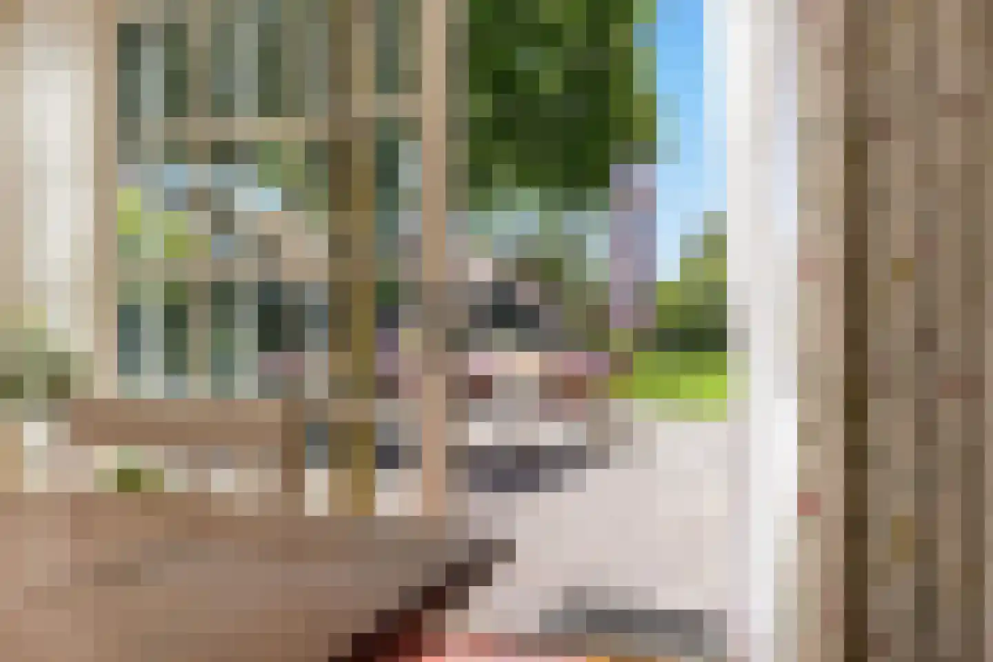 Westergeest 53 Uitgeest thumbnail 14